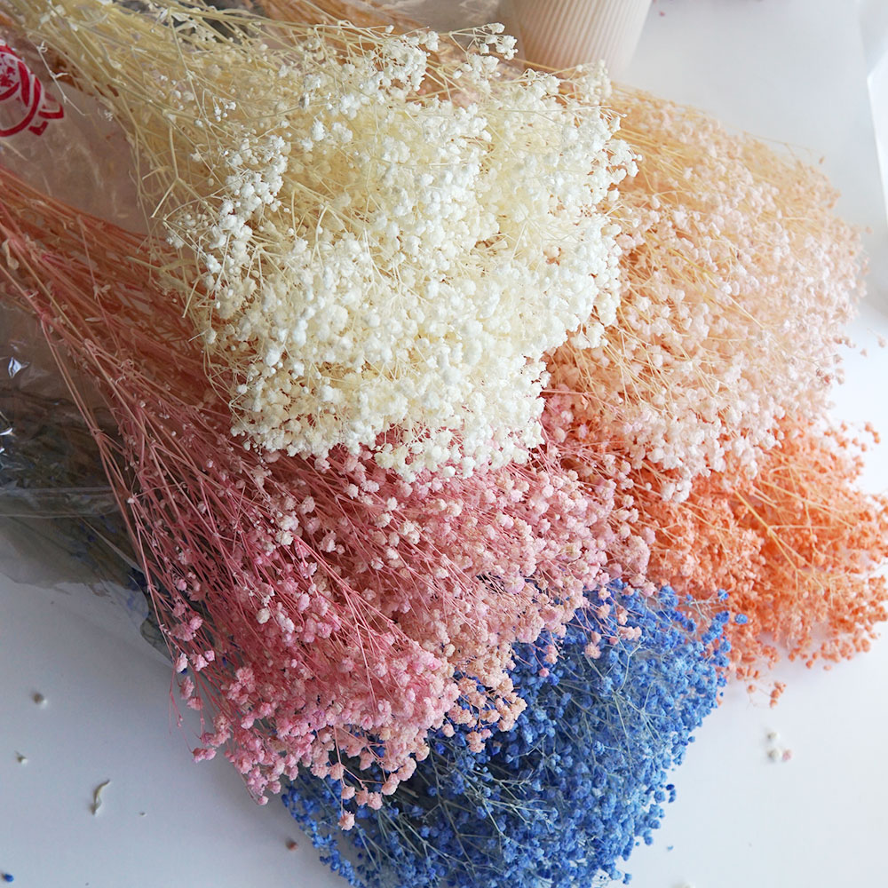 50g/Colorful Natural Preserved - đánh giá và giá Home Office Bleaching
